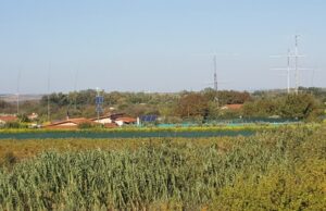 En busca de un «Rookie» concurso CQ WW DX CW 2017